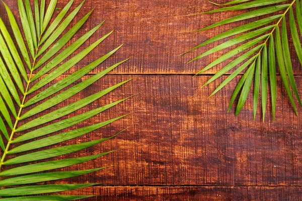 Palmblatt auf einem alten Holzbrett. Holzhintergrund mit Kopierraum. — Stockfoto