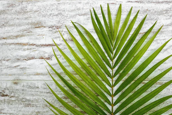 Foglie di palma verde su uno sfondo pavimento in legno — Foto Stock