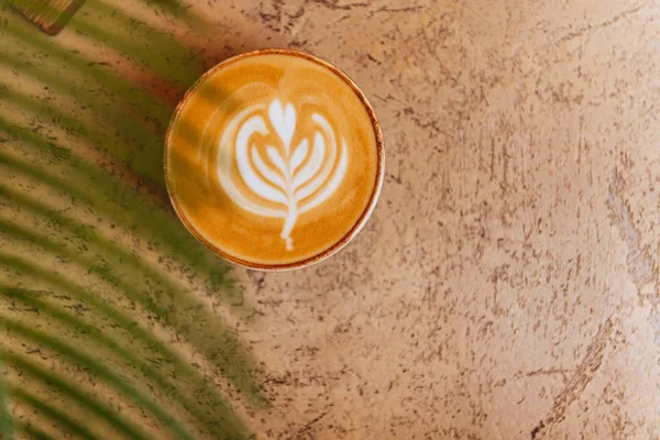 Close up Cycad palm tree on light background with cup of coffee. — Stock Photo, Image