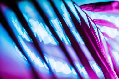 Neon ışık sq ile tropikal yaprakları yaratıcı floresan rengi