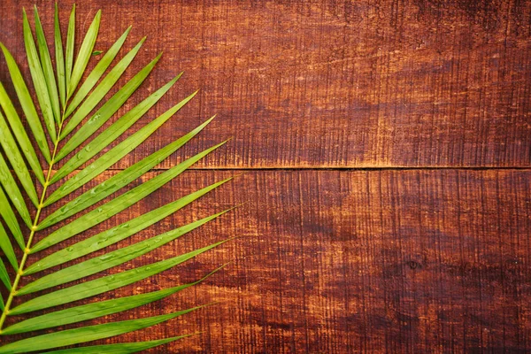 Hoja de palma sobre una vieja tabla de madera. Fondo de madera con espacio de copia . — Foto de Stock