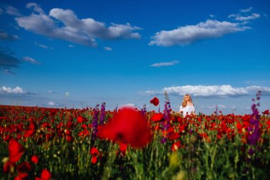 tek başına büyük bir haşhaş alanında kıvırcık sarı saçlı neşeli kız,