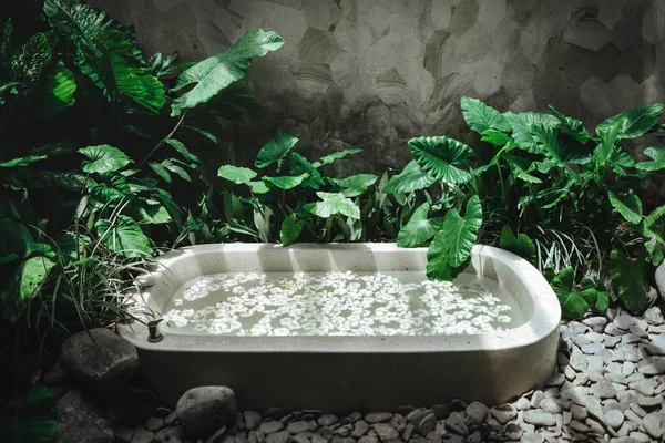 Decorazione Spa, prodotti biologici naturali su una vasca da bagno . — Foto Stock