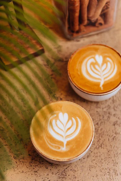 Close up Cycad palm tree on light background with cup of coffee. — Stock Photo, Image