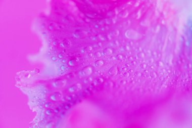 Renkli yansımalar ile izole güneş gözlüğü