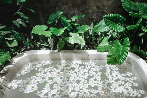Decorazione Spa, prodotti biologici naturali su una vasca da bagno . — Foto Stock