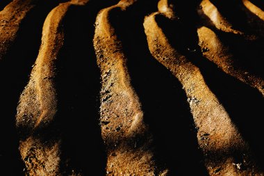 Yaz güneşinde güzel kumsal