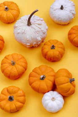 sarı arkaplanda kabaklar