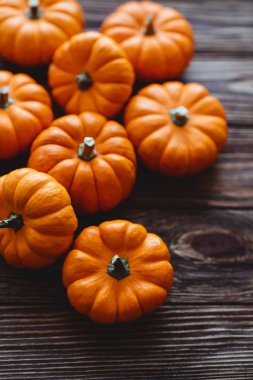 Bir grup minyatür balkabağı