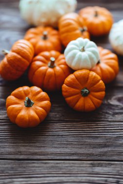 Bir grup minyatür balkabağı