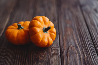 Bir grup minyatür balkabağı