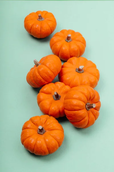 Pumpkins over neo mint background.