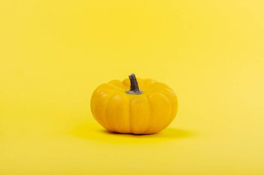 sarı arkaplanda kabaklar