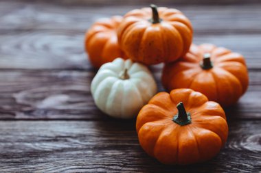 Bir grup minyatür balkabağı