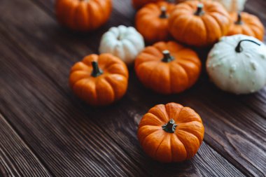 Bir grup minyatür balkabağı