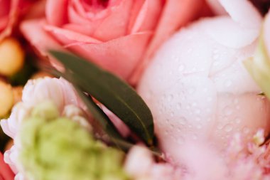 Renkli çiçek ortancaları ve gül