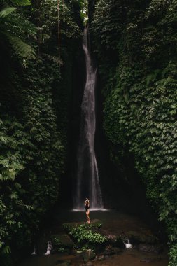Ormanlardaki şelaleye bakan genç bir kadın..