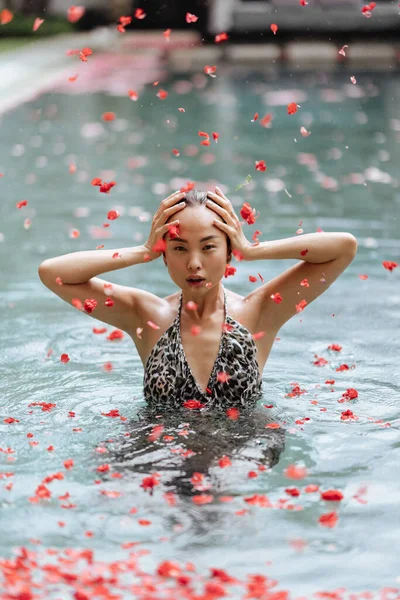 Beautiful female in swimming pool background