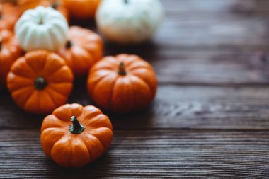 Bir grup minyatür balkabağı