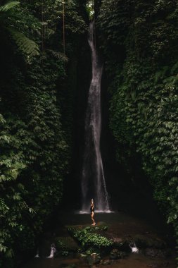 Ormanlardaki şelaleye bakan genç bir kadın..