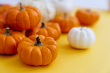 sarı arkaplanda kabaklar