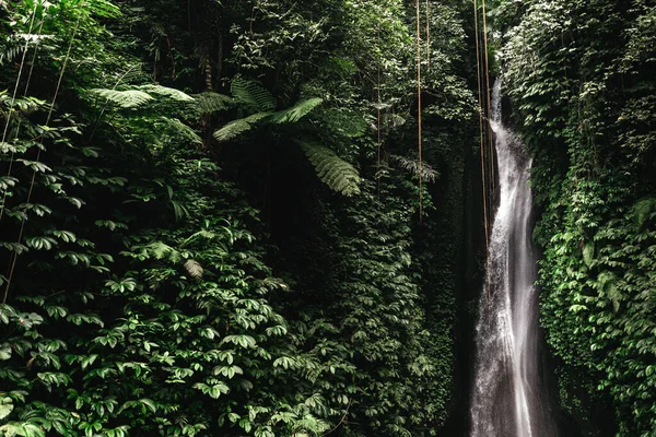 Bela cachoeira na floresta tropical. — Fotografia de Stock