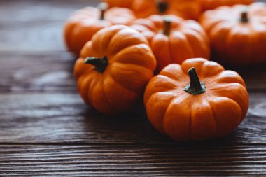 Ahşap arka planda çeşitli kabak çeşitleri.