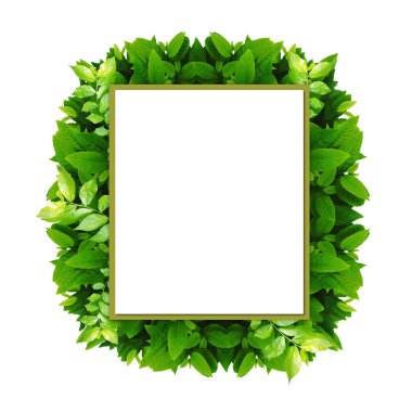 Yeşil yaprak yapılmış yaratıcı kare doğa düzen alanını yalıtmak. Düz düzen.