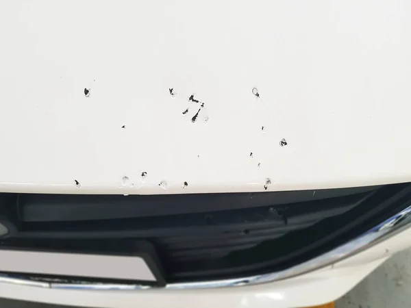 White car Fangs scratch from dog bite.