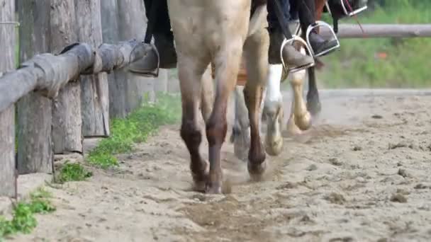 Leçons d'équitation Pratique .