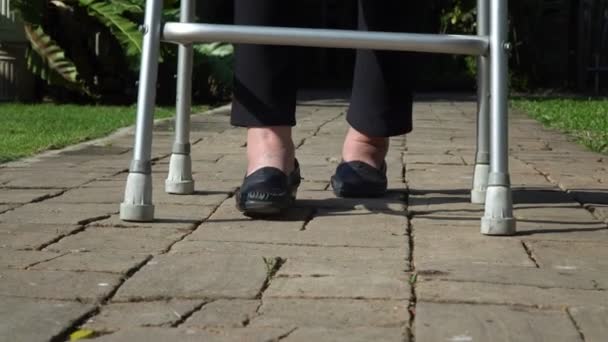 Bejaarde Vrouw Gezwollen Voeten Met Behulp Van Walker Achtertuin — Stockvideo