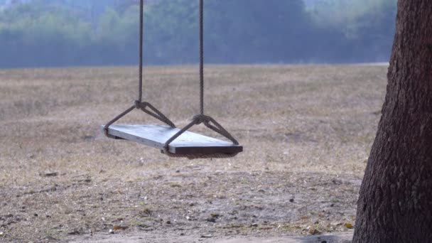 Leere Babyschaukel Auf Dem Baum — Stockvideo