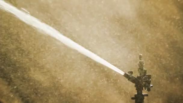 Sprinkler Kop Water Tuin Droog Weer — Stockvideo