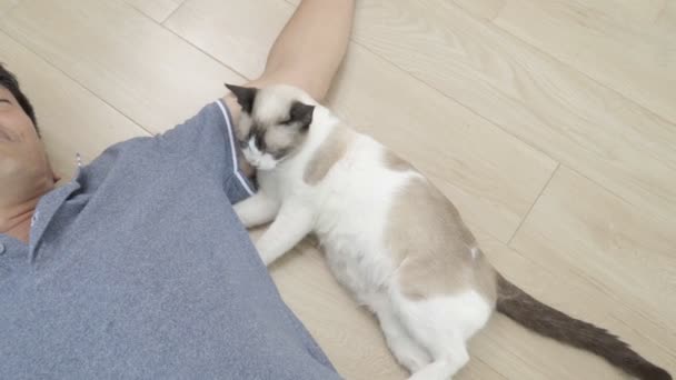 Ασιατική Άνθρωπο Γέροντα Γάτα Ξαπλωμένη Στο Πάτωμα Στο Σπίτι — Αρχείο Βίντεο