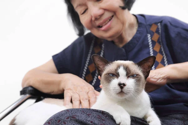 年配の女性は彼女の猫とリラックスしてください — ストック写真