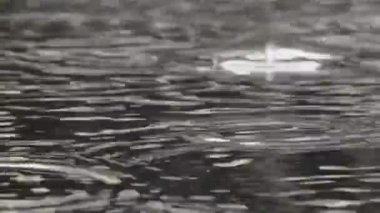 Göl'düşen yağmur damlaları