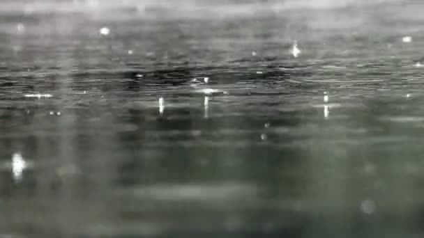 Gotas Chuva Caindo Lagoa — Vídeo de Stock