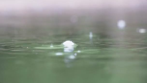 Gotas Lluvia Cayendo Estanque — Vídeos de Stock