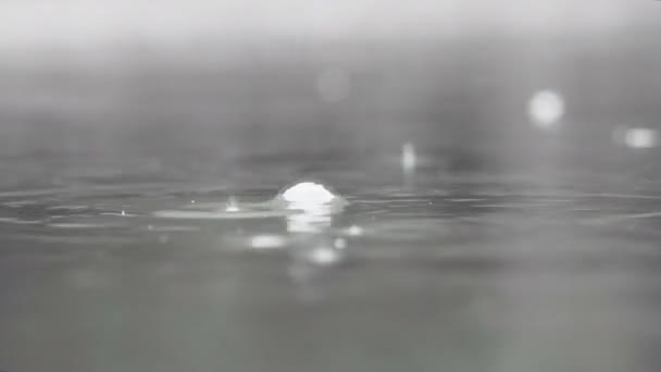 Σταγόνες Βροχής Που Πέφτουν Στη Λίμνη — Αρχείο Βίντεο