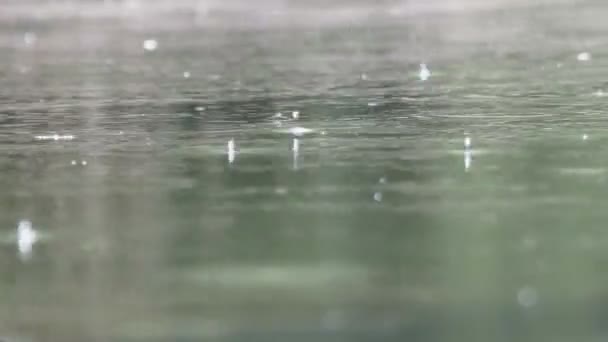 연못에 떨어지는 빗방울 — 비디오