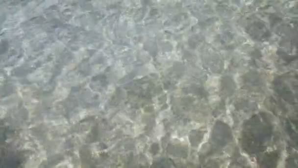 ホワイト水川 白水川玉龍雪山国立公園で 雲南省 麗江の水をクリアします — ストック動画