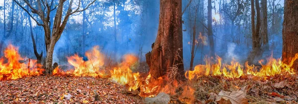 Incendios forestales en la montaña en Tailandia — Foto de Stock