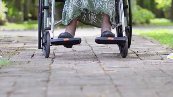 Dotter Hand Äldre Mamma Rullstol Hemma — Stockvideo