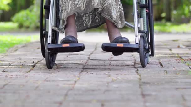 Daughter Take Care Elderly Mother Wheelchair Home — Stock Video