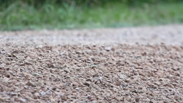Повільний Рух Ралі Гоночний Автомобіль Дрейфує Трасі — стокове відео
