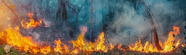 Incêndios florestais na bacia do Congo, África Central — Fotografia de Stock