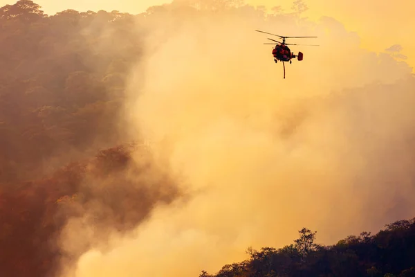 Helicóptero Extinción Incendios Arrojando Agua Fuego Forestal — Foto de Stock