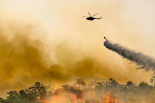 Silueta Firefithing Vrtulník Vysypává Vodu Lesní Požár — Stock fotografie