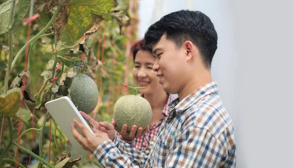 Bauern Überprüfen Mit Tablet Computer Schädliche Krankheiten Melonenblättern Die Von — Stockfoto