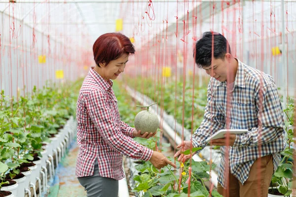 Smart farm, Farmer using tablet computer control agricultural system in green house brfore harvest.